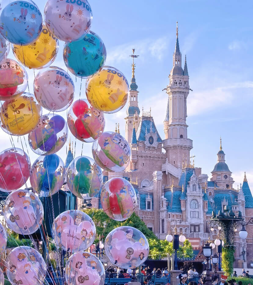 Disney Land - Shanghai English Driver